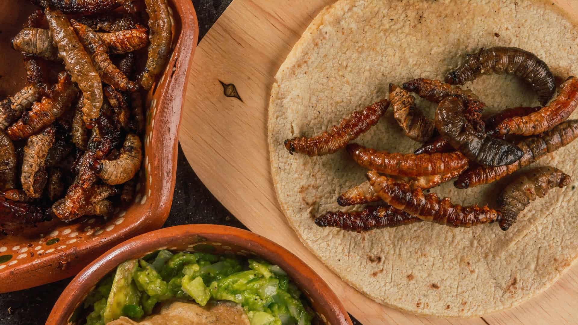 maguey worm fried and served on a tostada