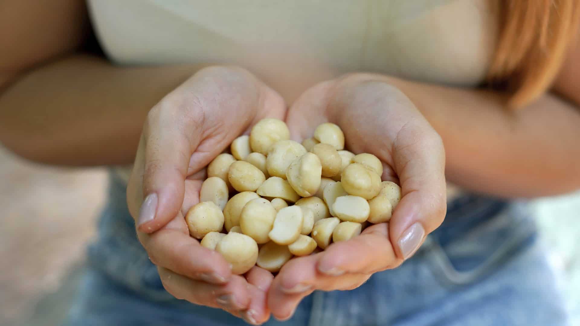 woman holding macadamia nuts