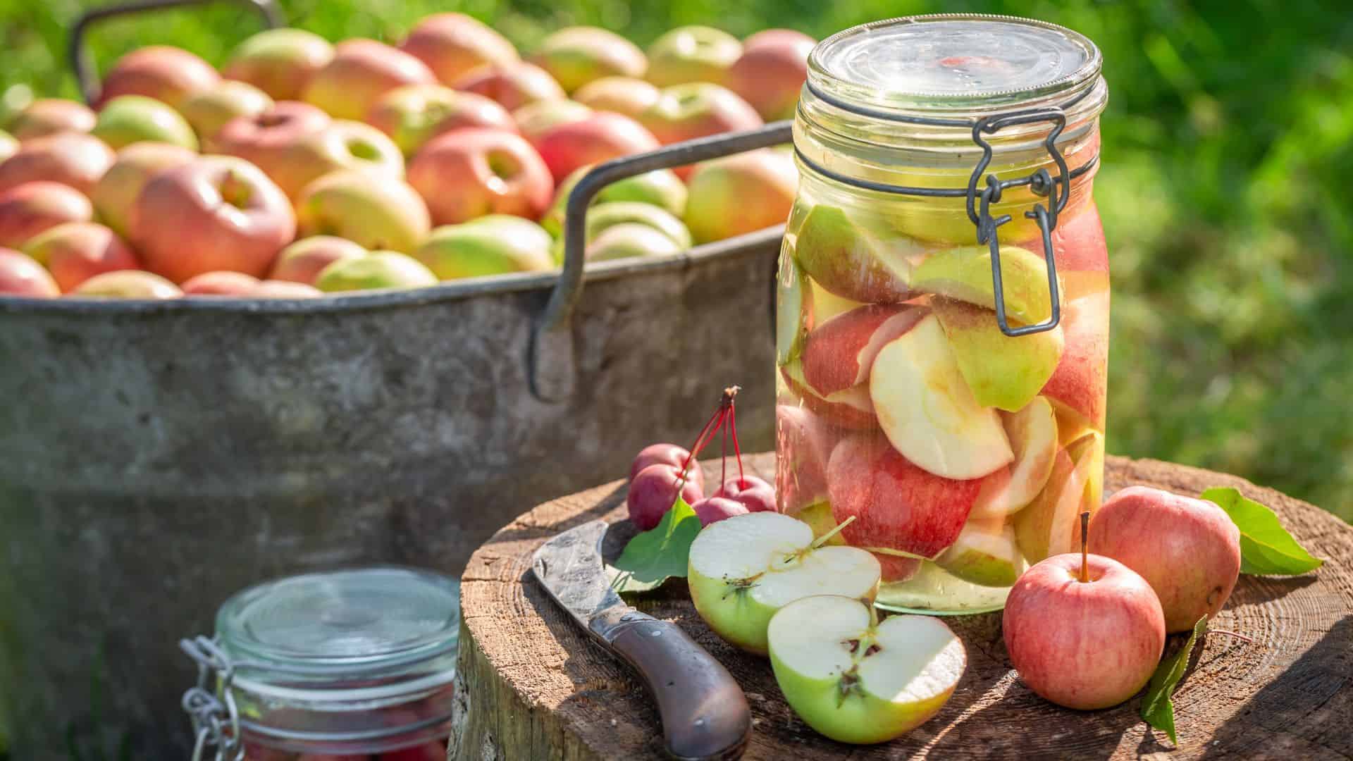 Canning Apples