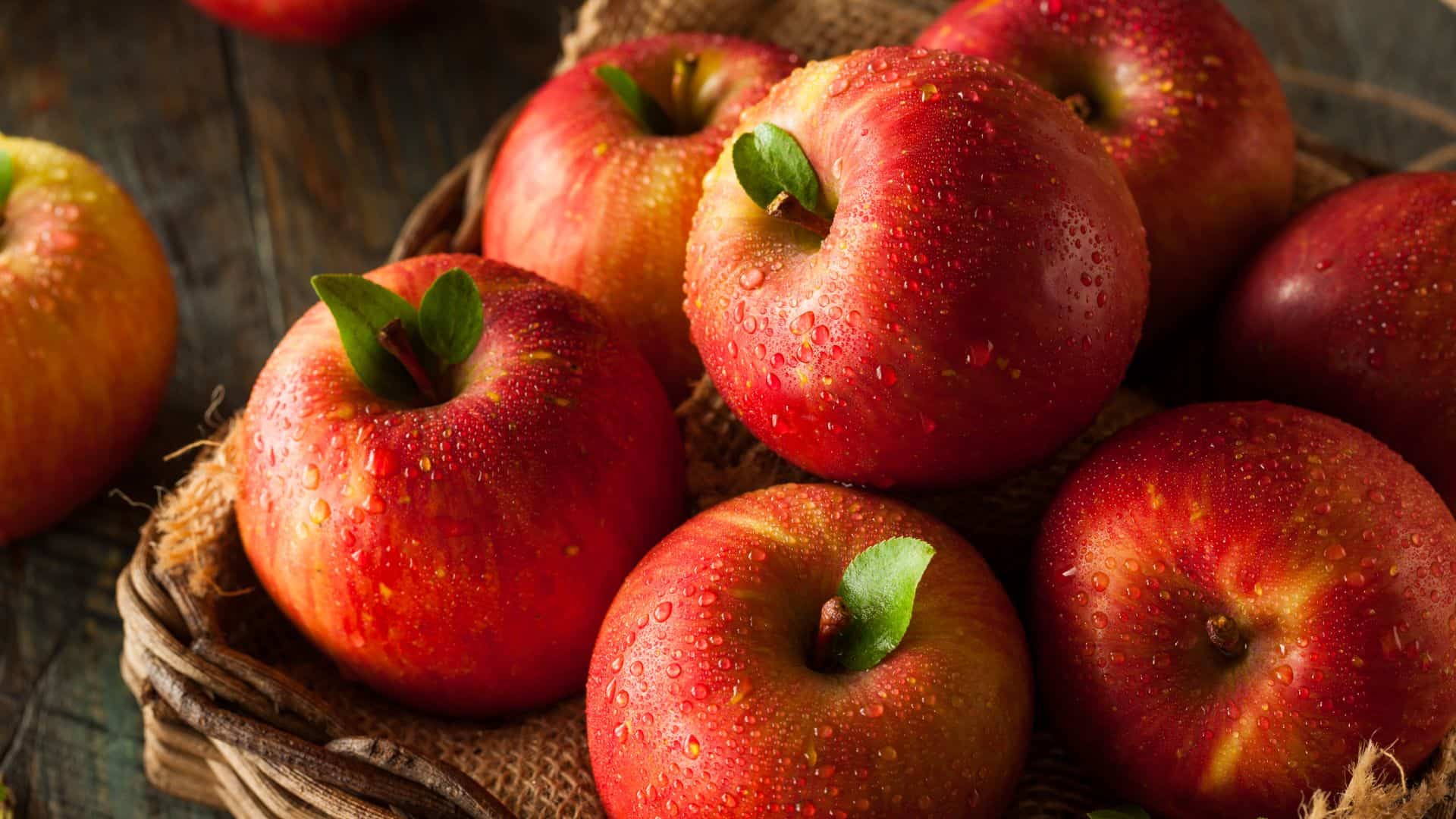 Fuji apples