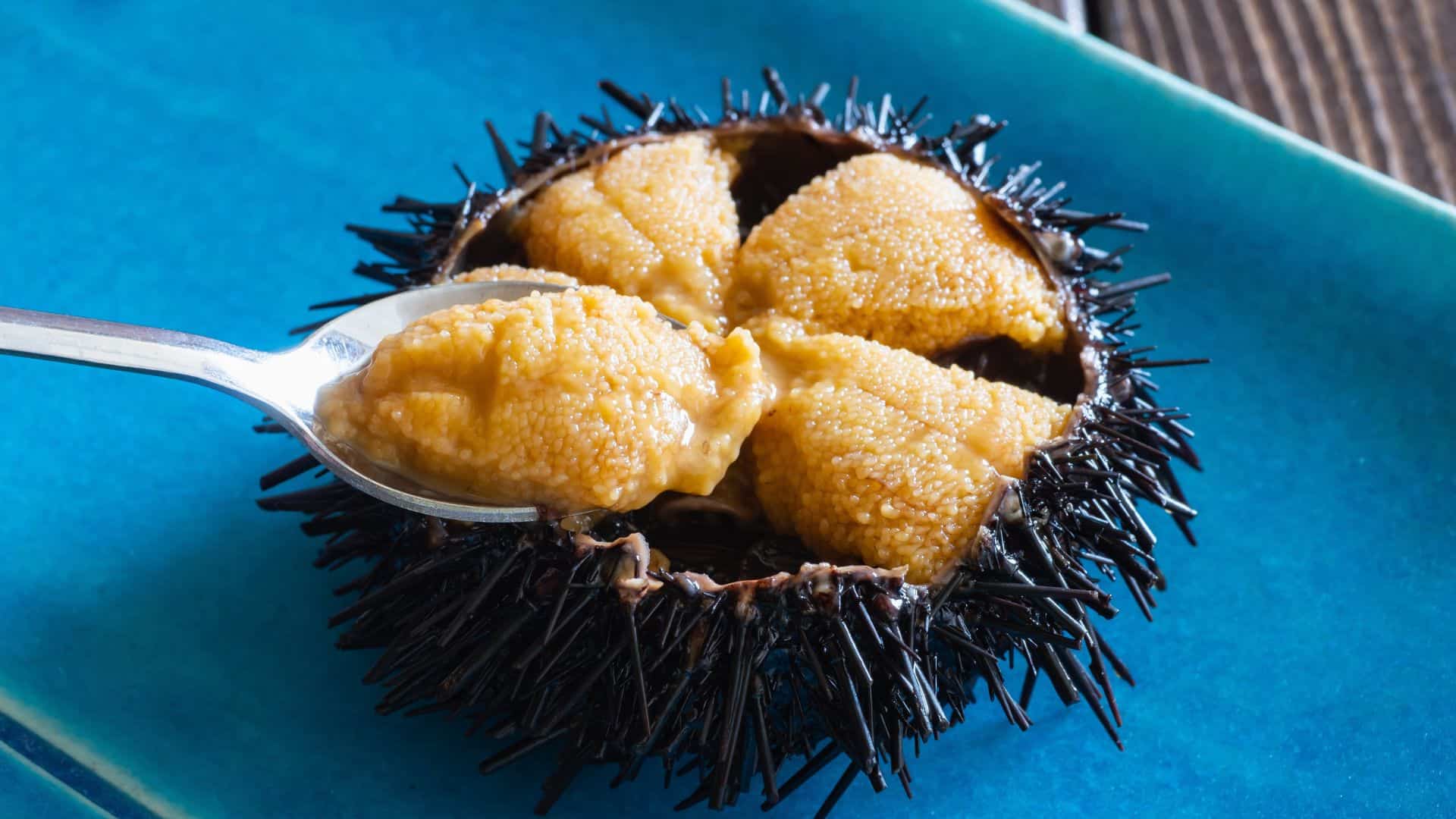 Sea urchin eaten raw