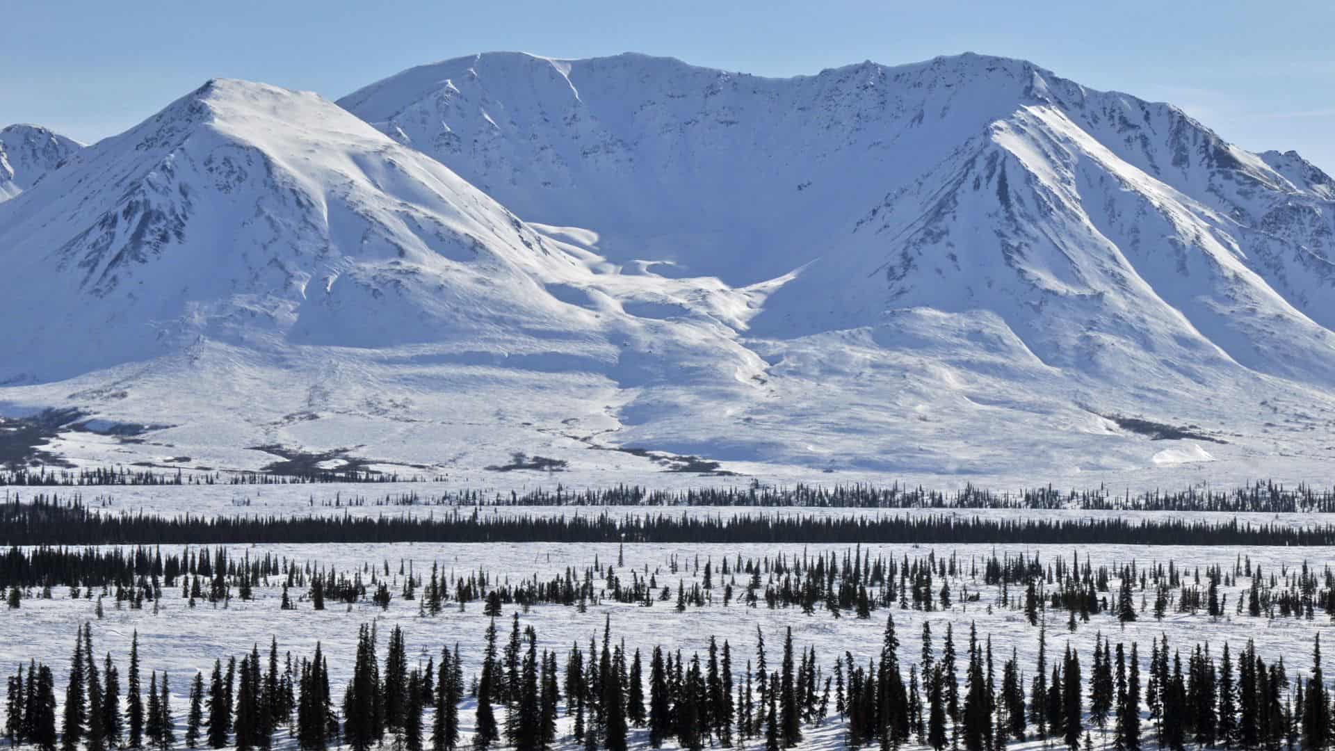 Snow-covered mountain landscape with evergreen trees in winter.