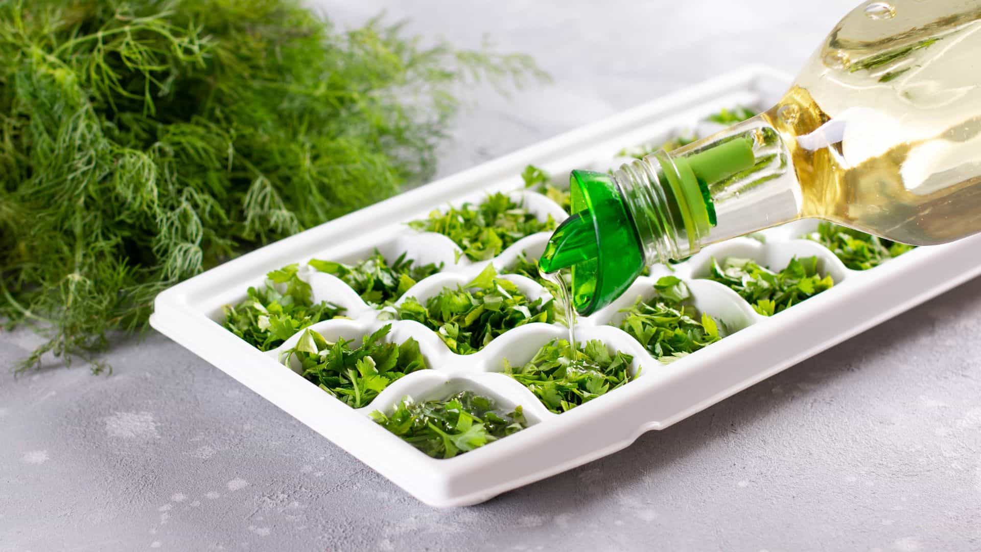 pouring oil into herb cubes