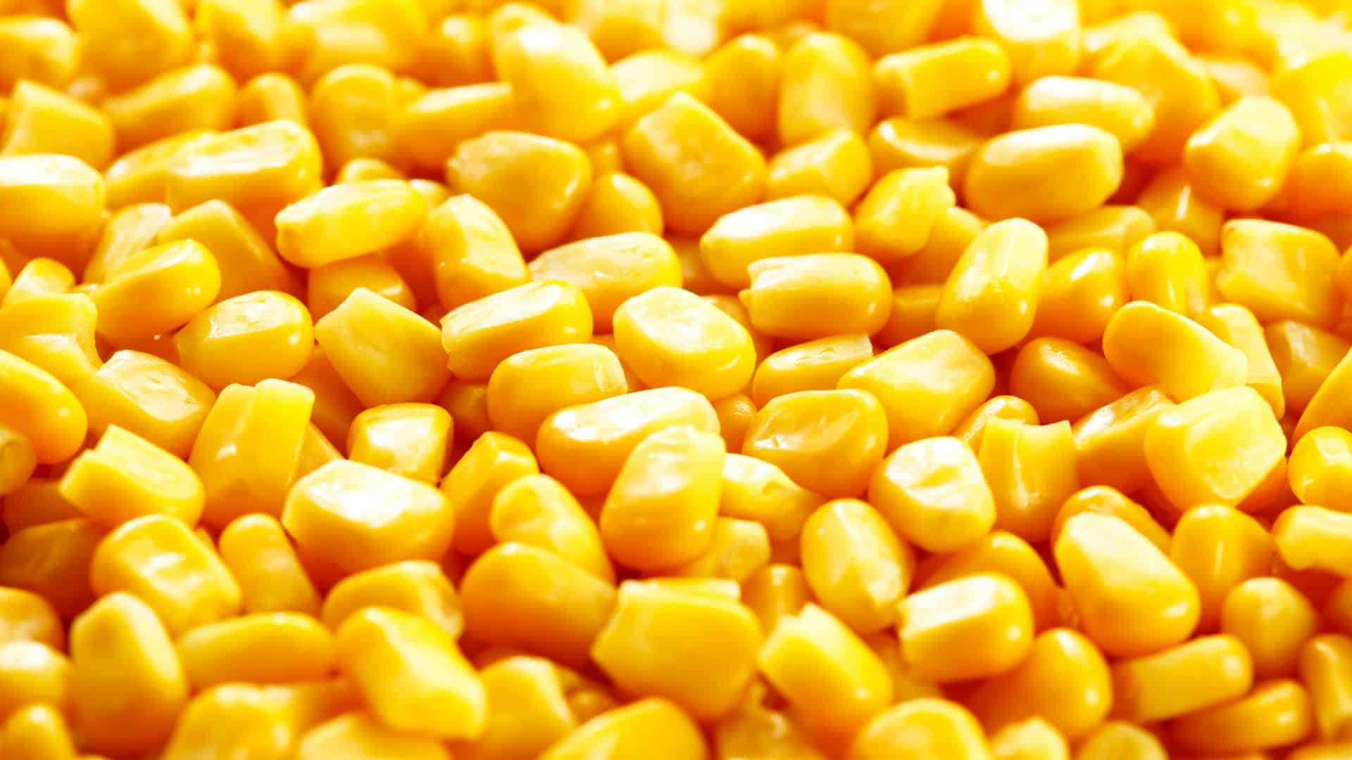 Corn
