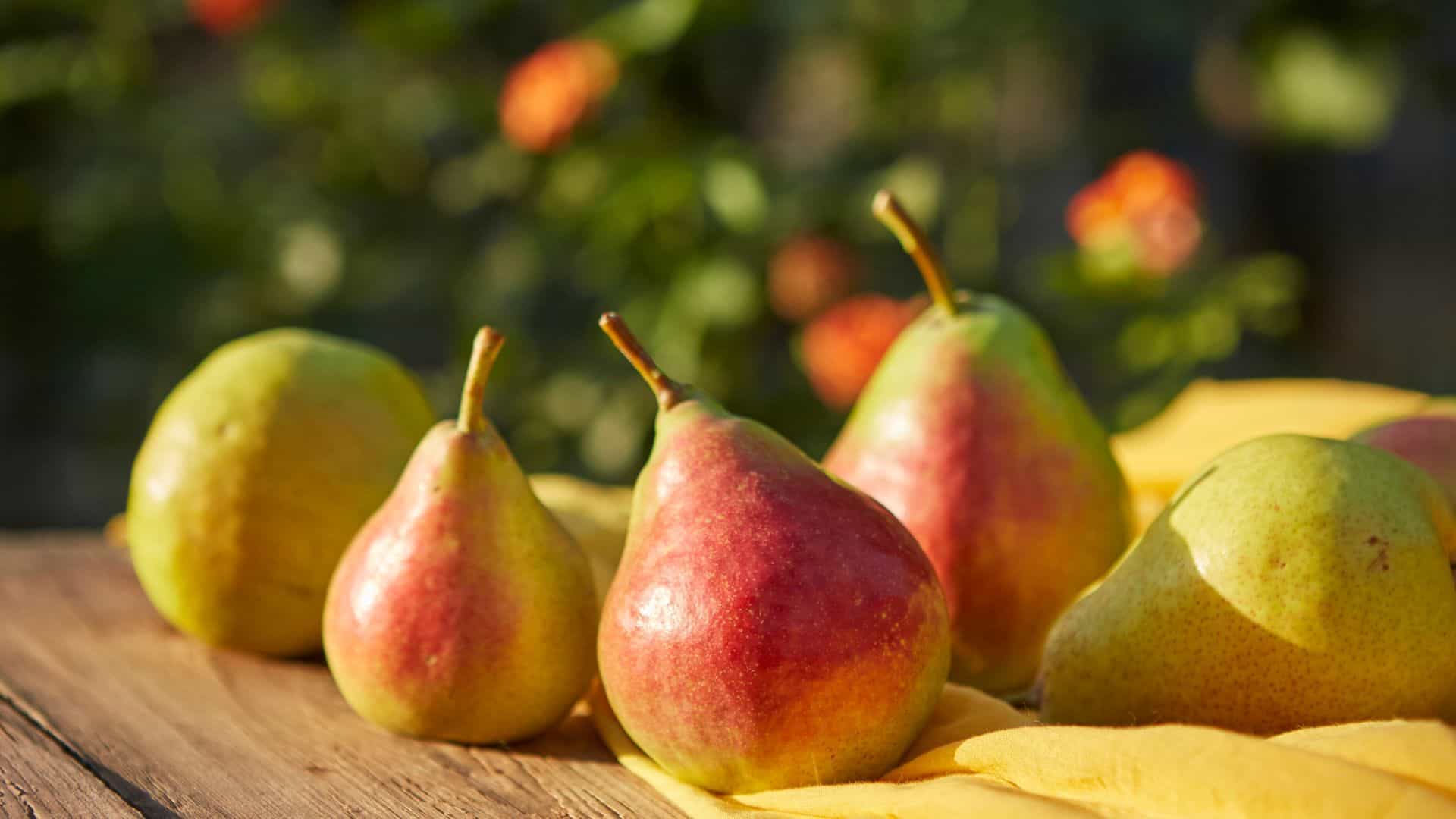 Pears