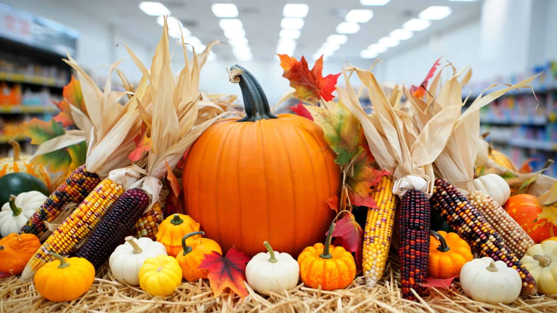 Vibrant autumn harvest display featuring pumpkins, gourds, colorful corn