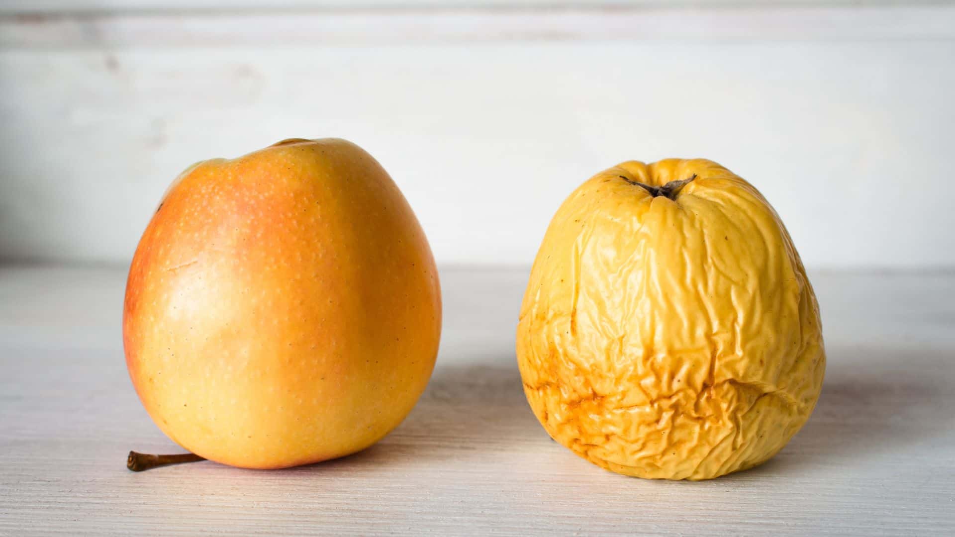 rotten apple