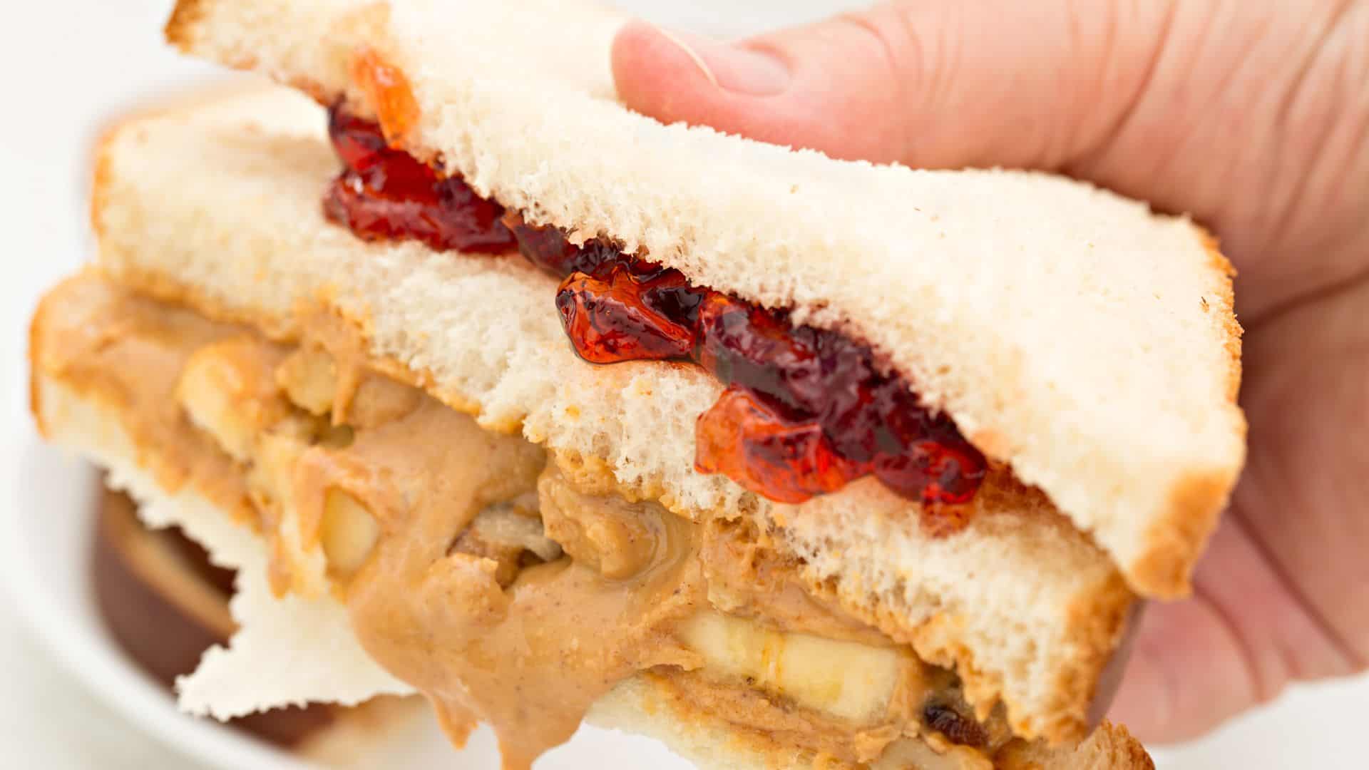 peanut butter and jam sandwich