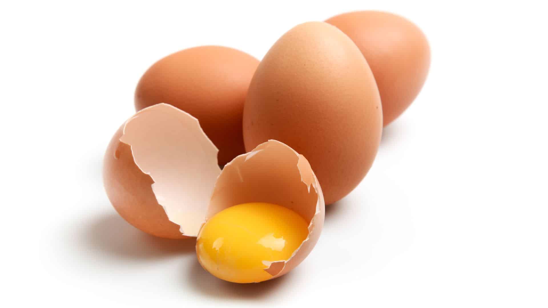 brown eggs