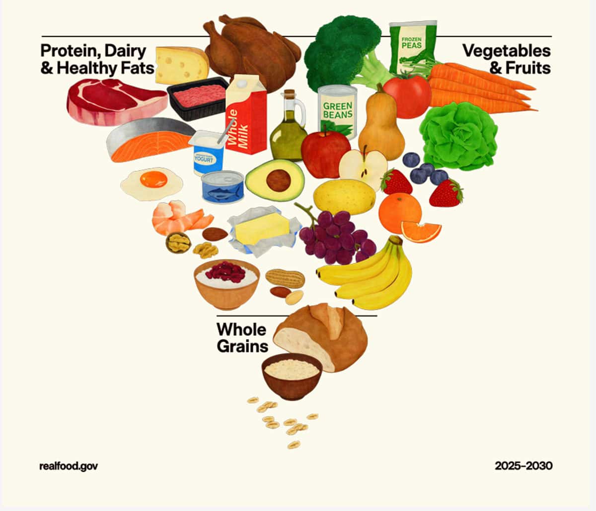 Food pyramid