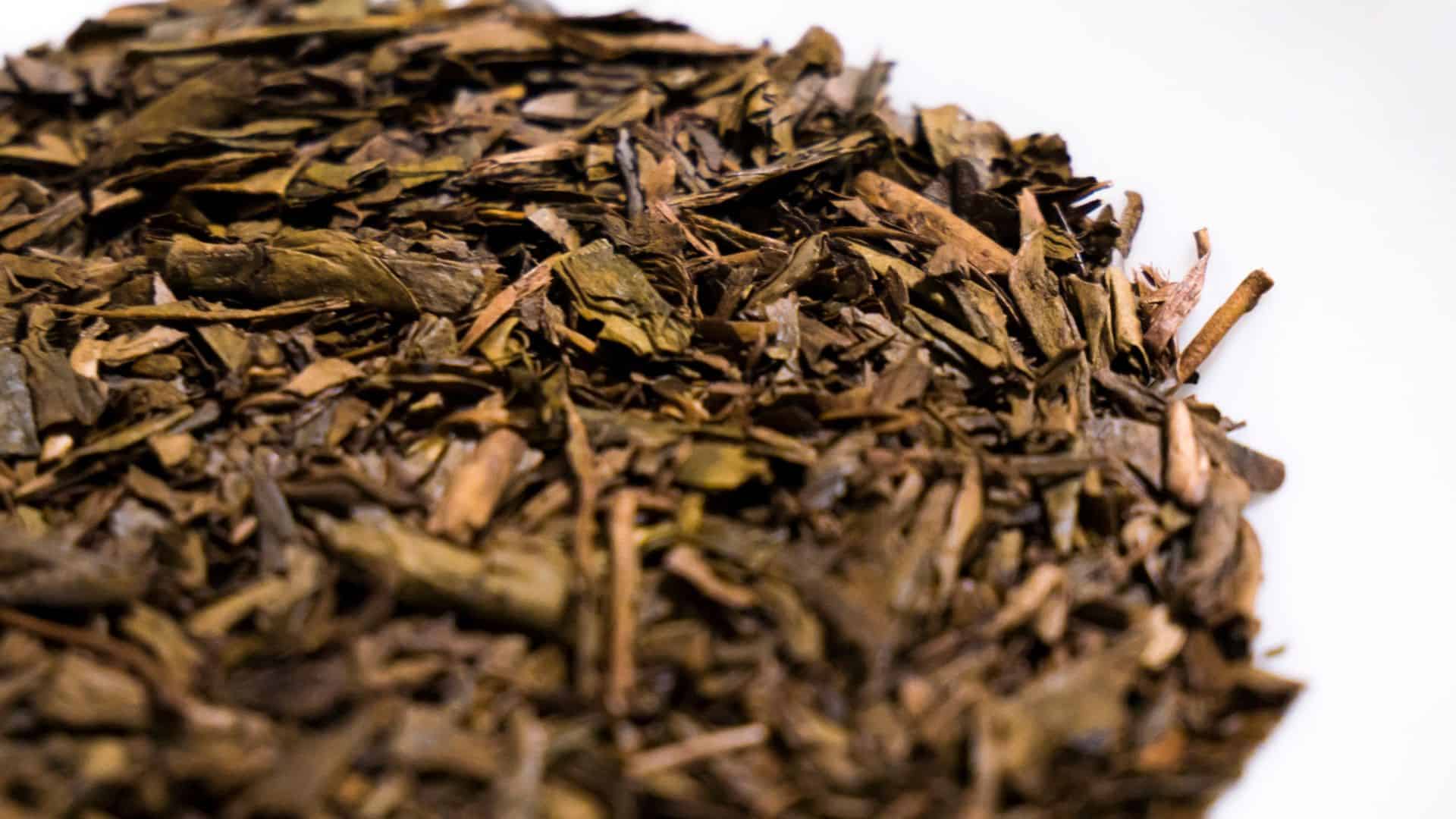 Hojicha