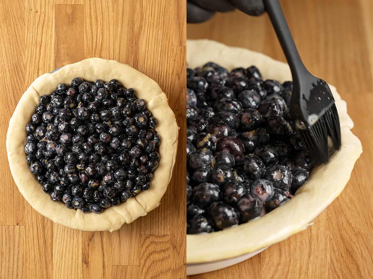 Blueberry pie assembly.