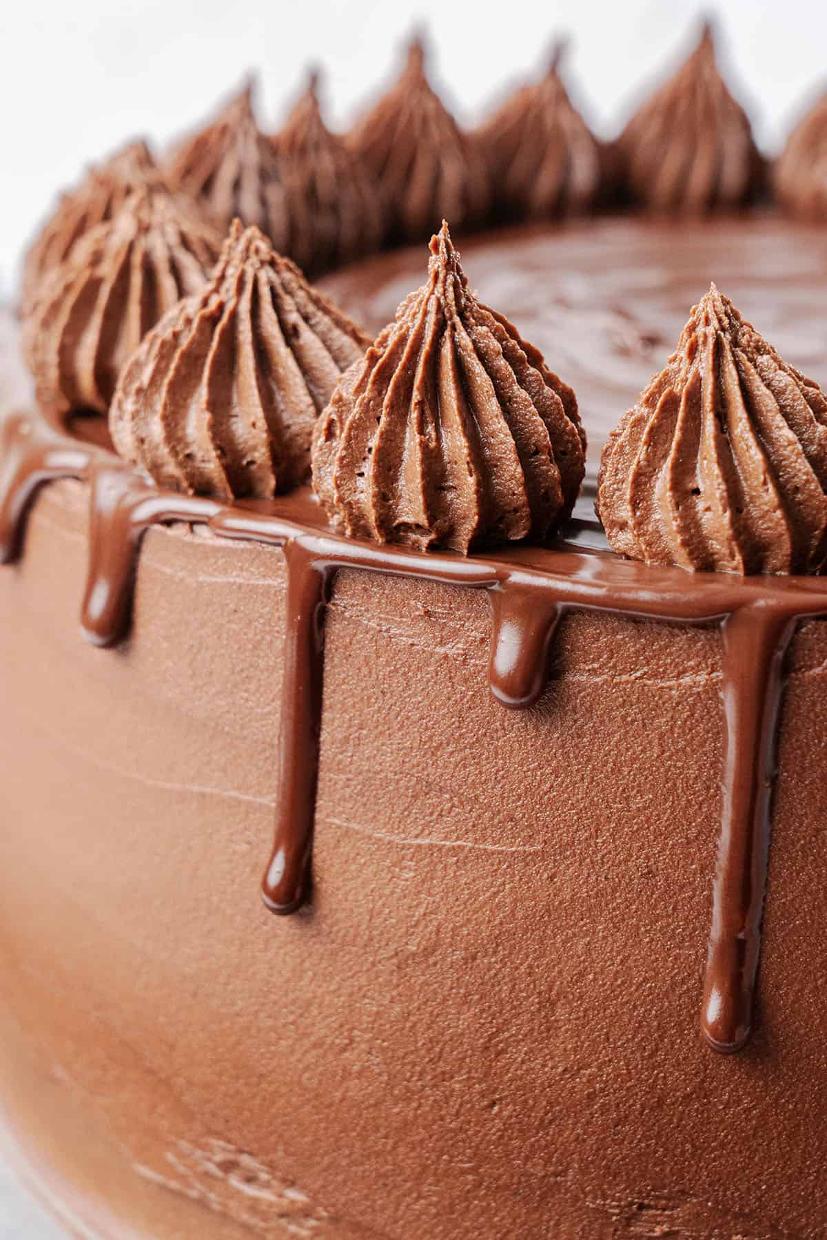 Triple chocolate cake on a plate.