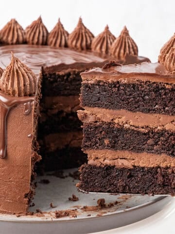A slice of triple chocolate cake.