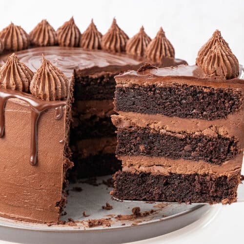 A slice of triple chocolate cake.